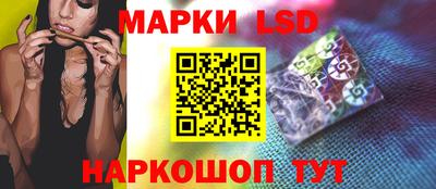 шишки Лесосибирск