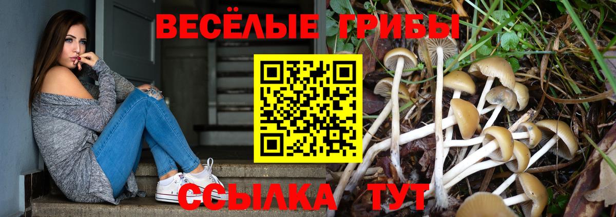 купить закладку  Вход с VPN  Усть-Джегута  Псилоцибиновые грибы MAGIC MUSHROOMS 
