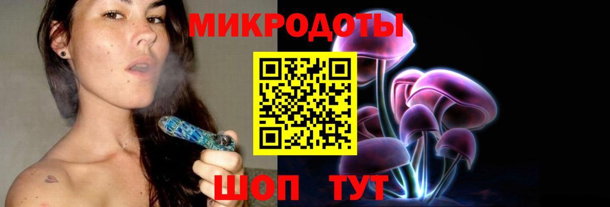 Псилоцибиновые грибы Psilocybine cubensis Усть-Джегута